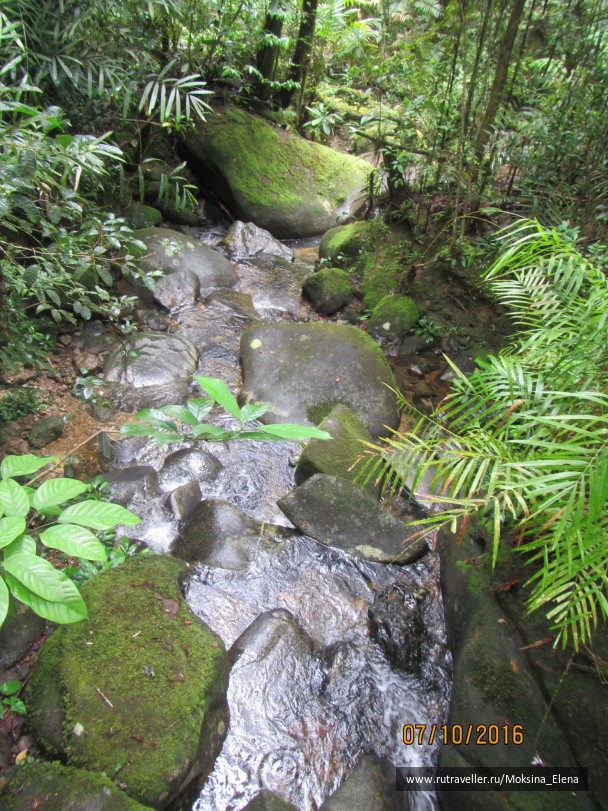 photo 1429208