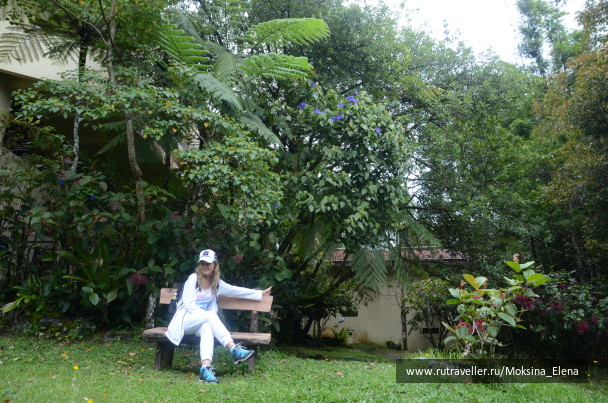 photo 1429225