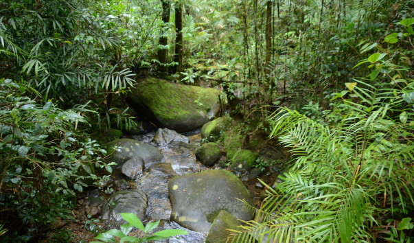 Kota-Kinabalu2016 (28)