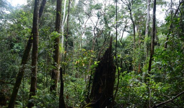 Kota-Kinabalu2016 (24)