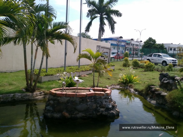 photo 1429332