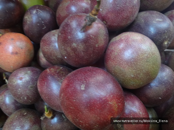 photo 1469096