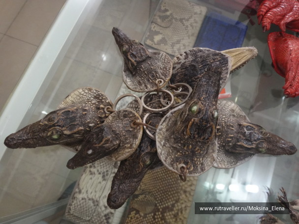 photo 1469102