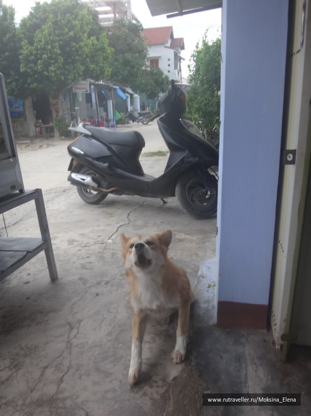 photo 1469121