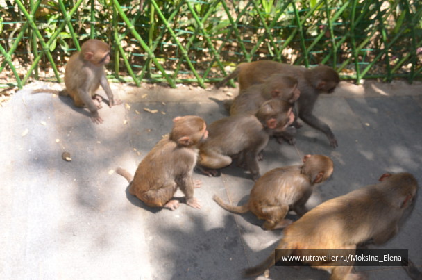 photo 1526525