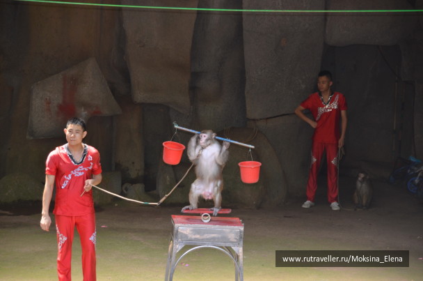 photo 1526531