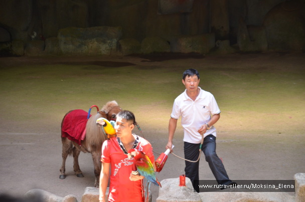 photo 1526533