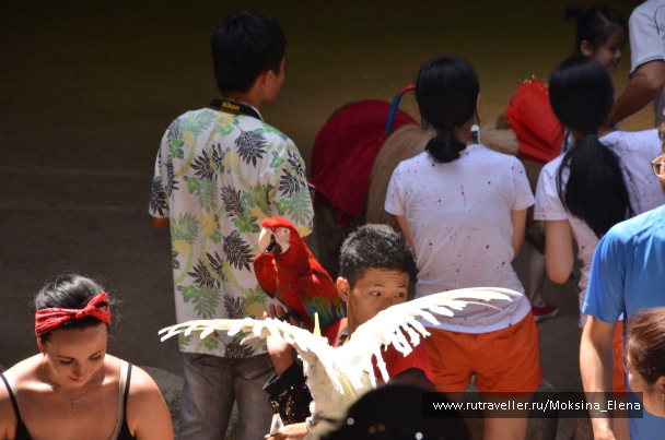 photo 1526535