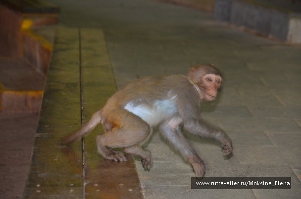 photo 1526536