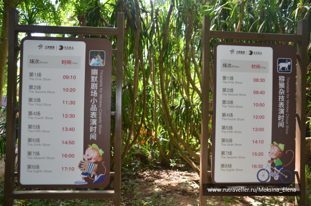 photo 1526541