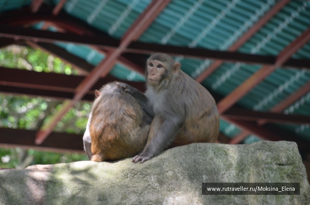 photo 1526551
