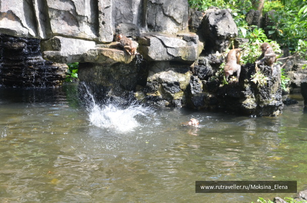 photo 1526552