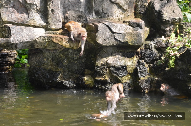 photo 1526553