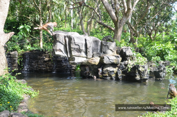 photo 1526554