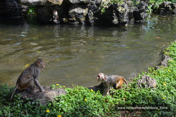 photo 1526556