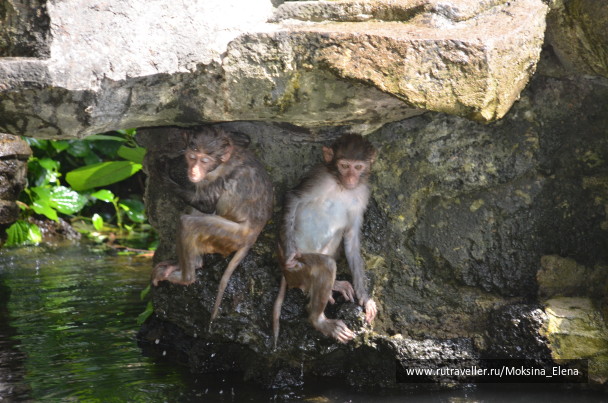 photo 1526557