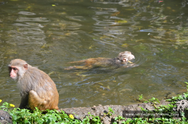 photo 1526558