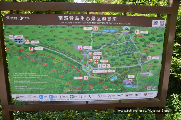 photo 1526564
