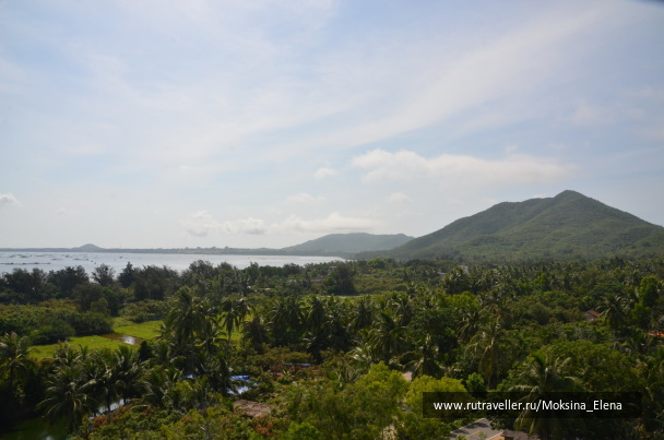 photo 1526567
