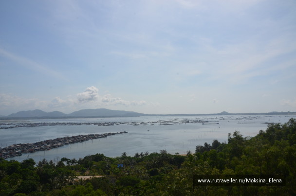 photo 1526573