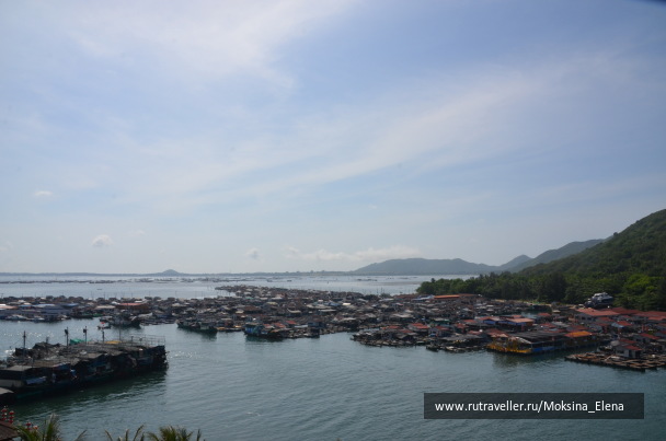 photo 1526582