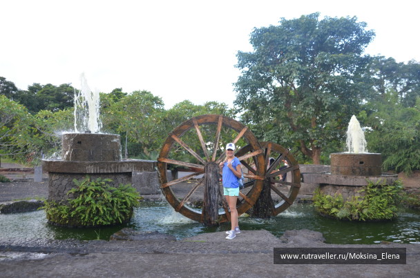 photo 1526613
