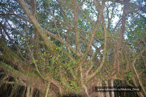 photo 1526636