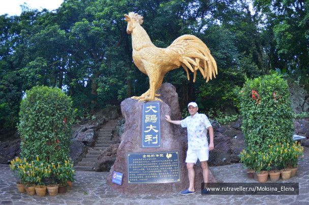 photo 1526647