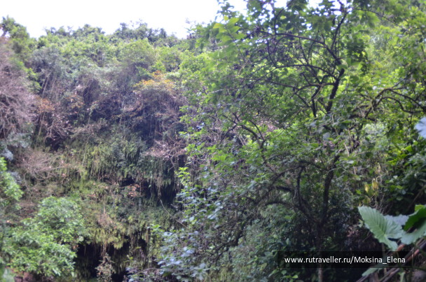 photo 1526653