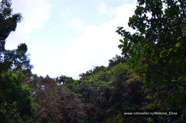 photo 1526654