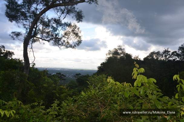 photo 1526668