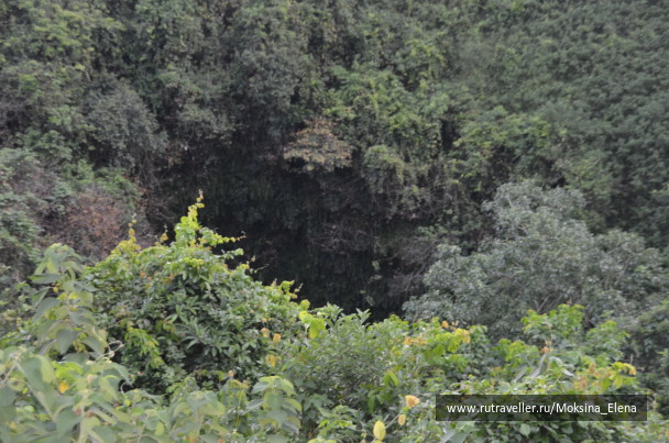 photo 1526670