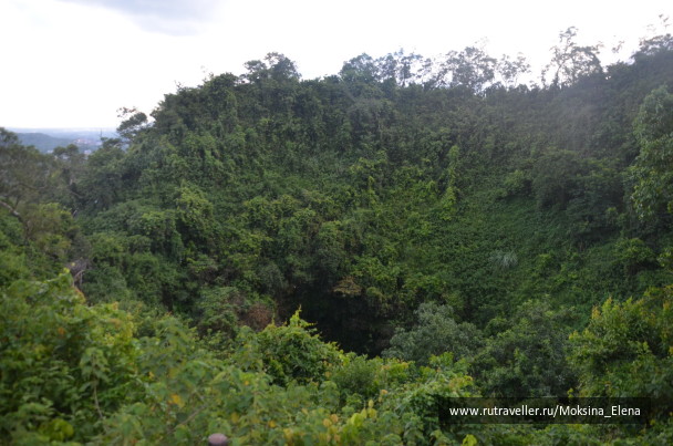 photo 1526672