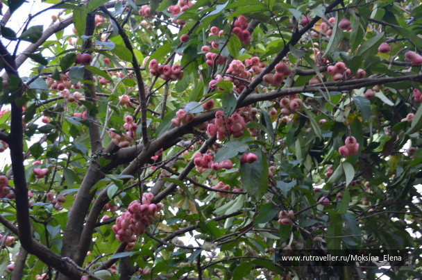 photo 1526674