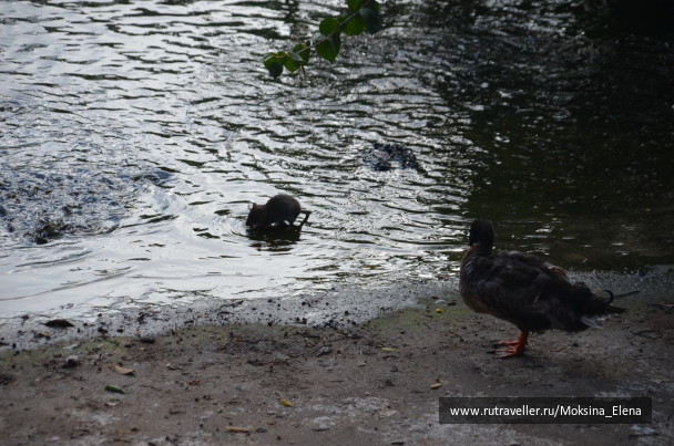 photo 1526680