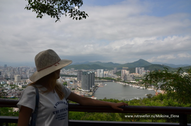 photo 1529517