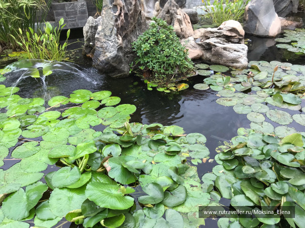 photo 1603463