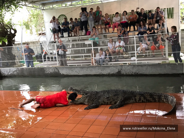 photo 1605287