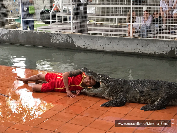 photo 1605288