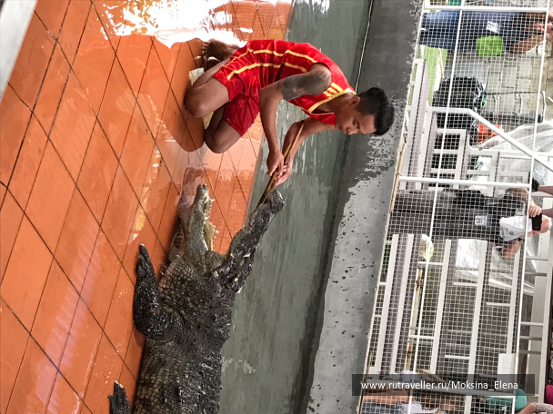 photo 1605289
