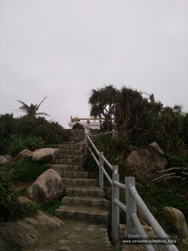 photo 1607098