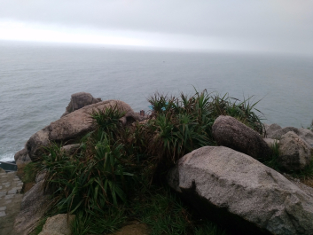 photo 1607100