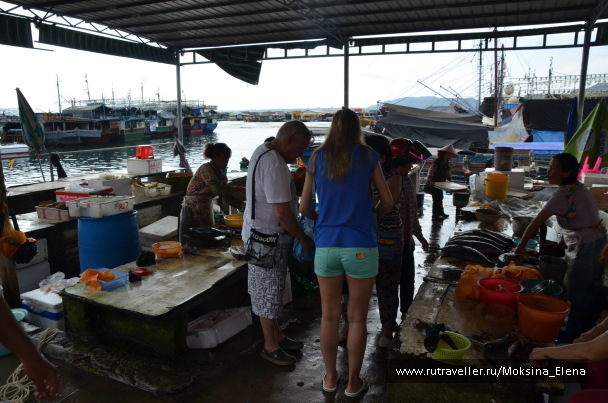 photo 1607154