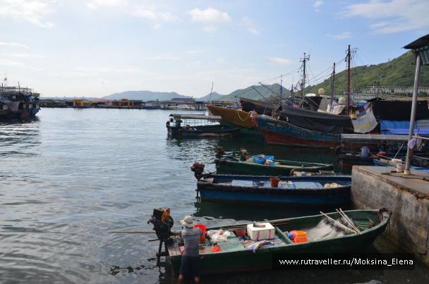 photo 1607175