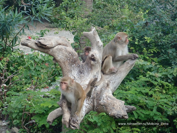 photo 1622908
