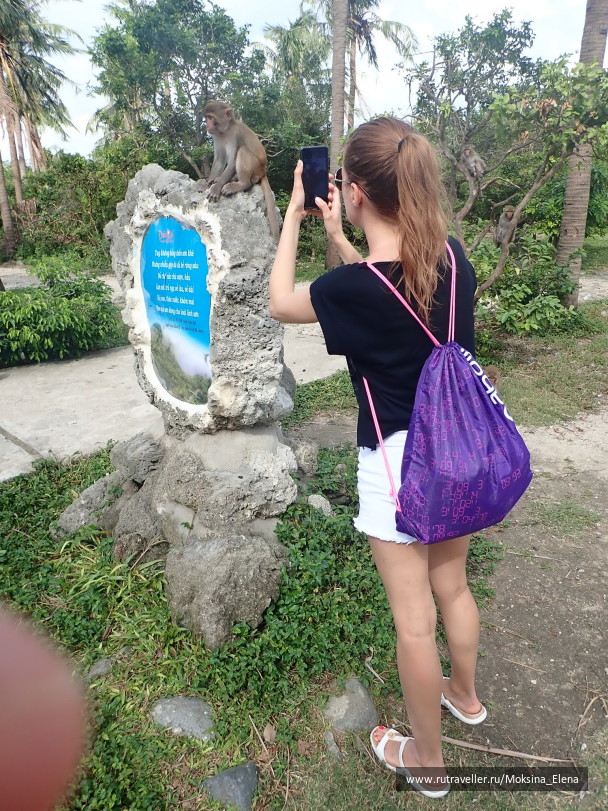 photo 1622910