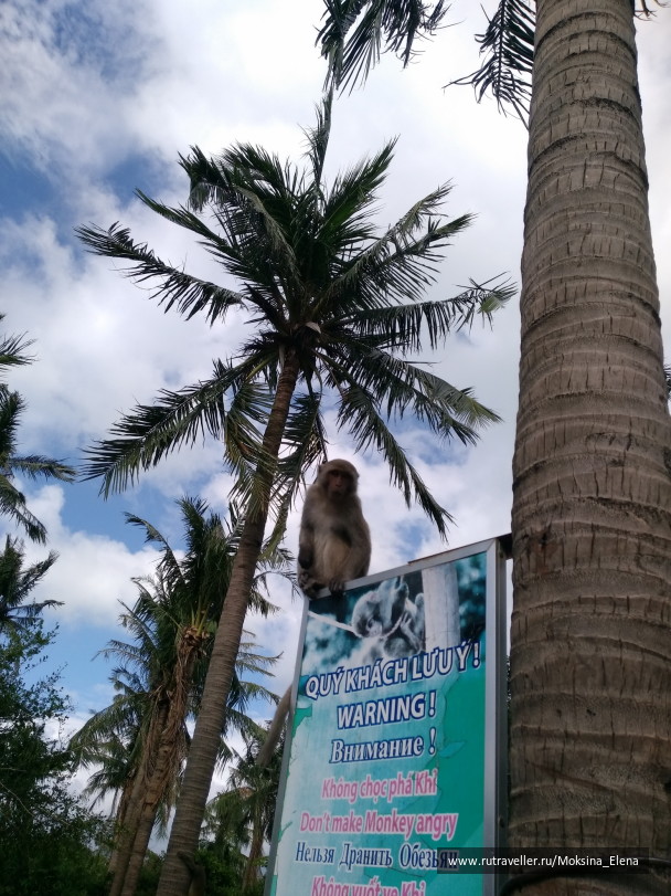 photo 1622937