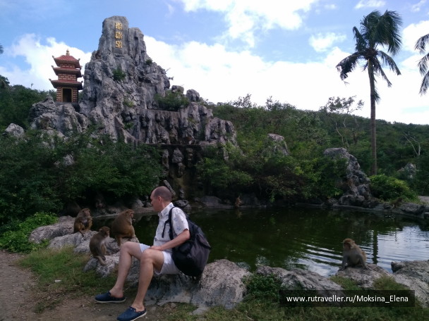 photo 1622942