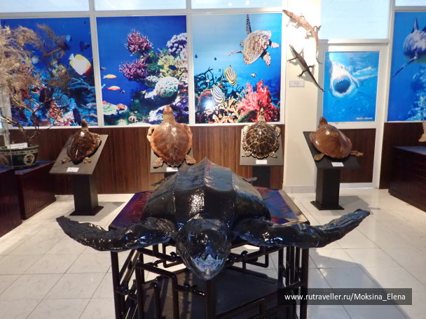photo 1642245