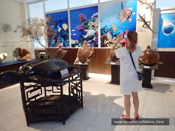 photo 1642246